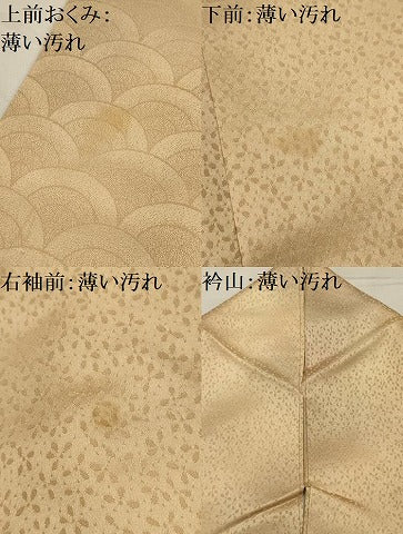 平和屋着物■色留訪問着　霞取り青海波　暈し染め　正絹　逸品　AABK6035sx