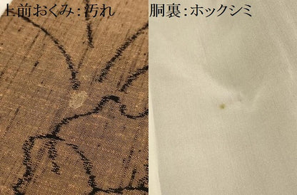 平和屋着物■上質な紬　草花文　正絹　逸品　AABK6051sx
