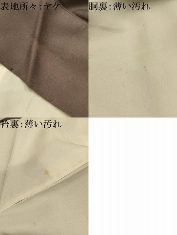 平和屋着物■訪問着　雲取り吉祥花文　金彩　正絹　逸品　AABK6059sx