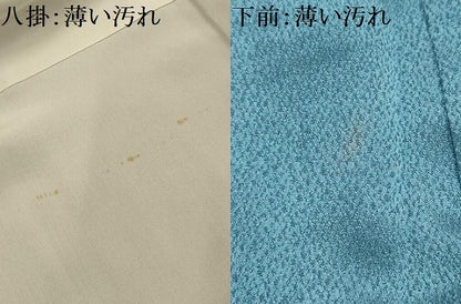 平和屋着物■訪問着　草花文　金彩　三越扱い　正絹　逸品　AABK6063sx