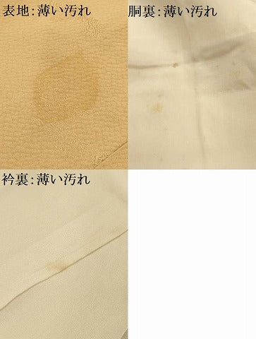 平和屋着物■上質な色無地　枝葉地紋　杏色　正絹　逸品　AABK6112sx