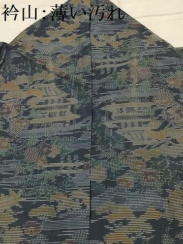 平和屋着物■本場大島紬　風景文　正絹　逸品　AABK6119sx