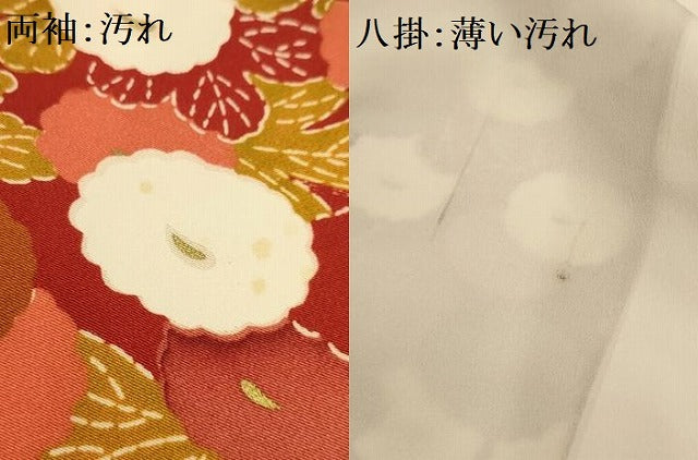 平和屋着物■上質な小紋　光琳菊　金彩　正絹　逸品　AABK6142sx