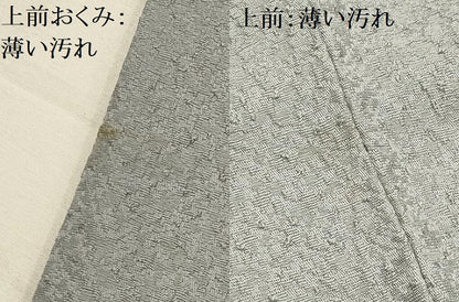 平和屋着物■上質な色無地　紋意匠　灰青色　正絹　逸品　AABK6147sx