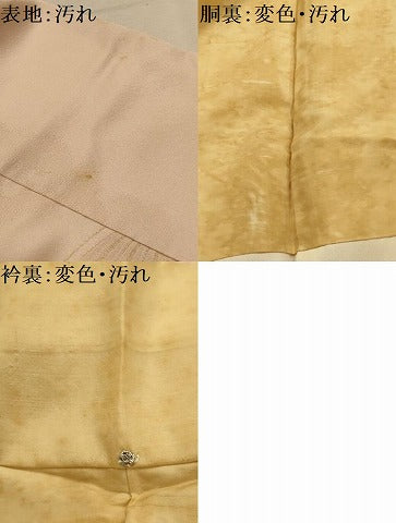 平和屋着物■豪華振袖　寿光織　舞蝶文　金糸　正絹　逸品　AABK6176sx
