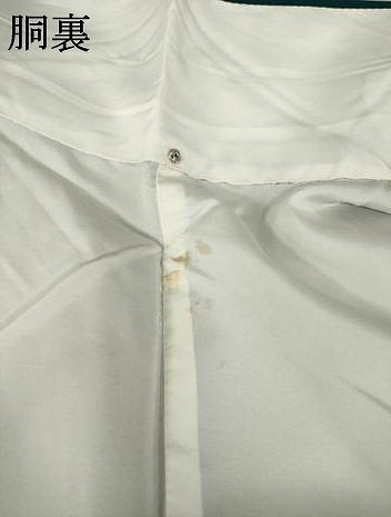 平和屋着物●豪華振袖　総刺繍　草花文　暈し染め　金糸　ロング丈　正絹　逸品　AABK6222ck