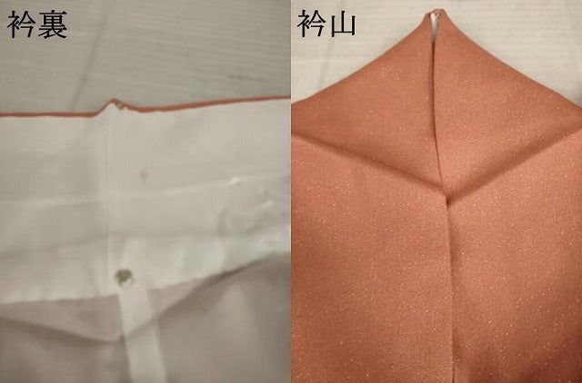 平和屋着物●訪問着　藤花房　暈し染め　金彩　銀通し地　正絹　逸品　AABK6263ck