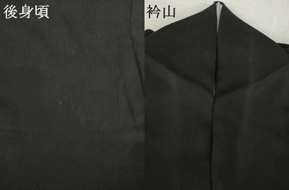 平和屋着物●訪問着　花丸天井文　黒地　金彩　正絹　逸品　AABK6304ck