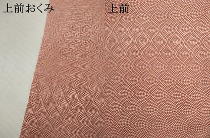 平和屋着物●江戸小紋　鮫小紋柄　正絹　逸品　AABK6321cs