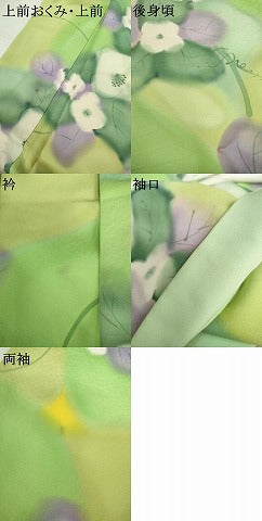 平和屋着物●上質な小紋　手描き　草花文　暈し染め　正絹　逸品　AABK6474cs