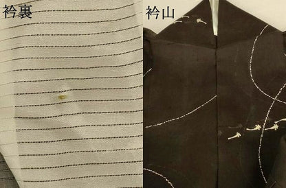 平和屋着物＊夏物　絹芭蕉　魚　さが美扱い　正絹　逸品　AABK6484jd