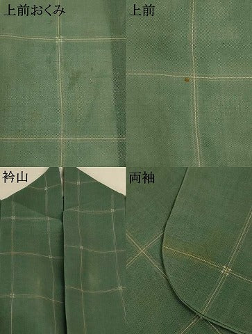 平和屋着物＊夏物　紗紬　格子　正絹　逸品　AABK6486jd