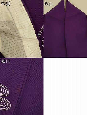 平和屋着物＊夏物　訪問着　絽　流水飛鳥文　正絹　逸品　AABK6517jd