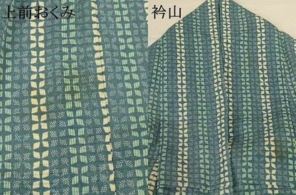 平和屋着物＊夏物　小紋　絽縮緬　花間道　洗える着物　AABK6558jd