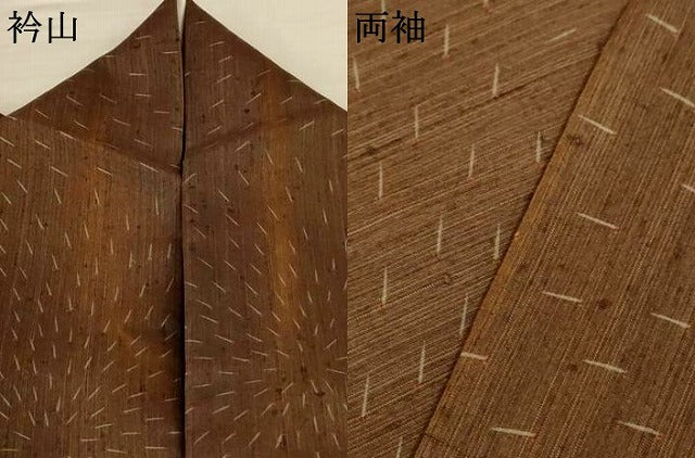 平和屋着物＊夏物　小紋　紗紬　メダカ　正絹　逸品　AABK6578jd