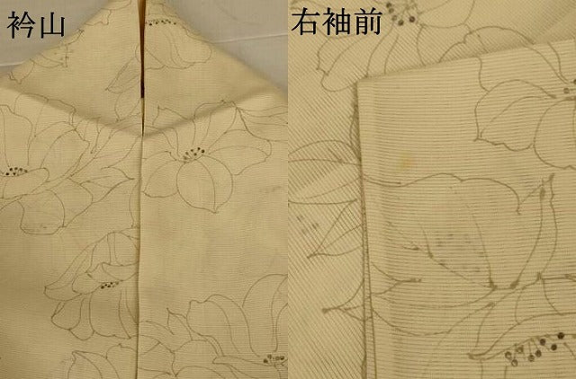 平和屋着物＊夏物　小紋　絽　手描き　舞花文　銀彩　正絹　逸品　AABK6588jd