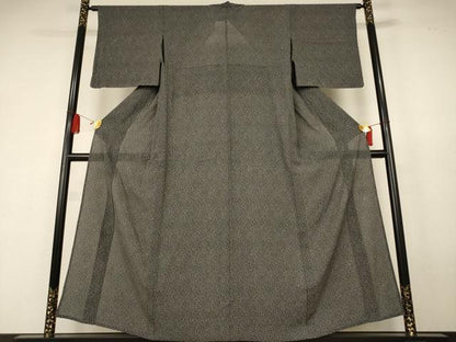 平和屋着物＊夏物　江戸小紋　絽　花尽くし　黒地　正絹　逸品　AABK6593jd
