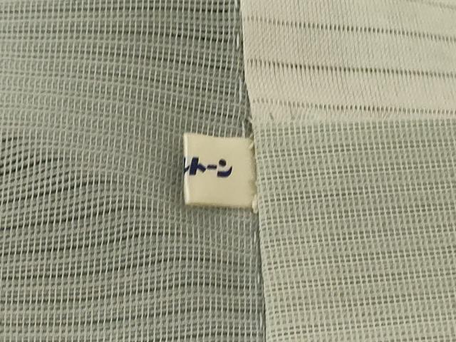 平和屋着物＊夏物　訪問着　紋絽　枝垂れ草花文　暈し染め　金銀彩　ロング丈　正絹　逸品　AABK6615jd