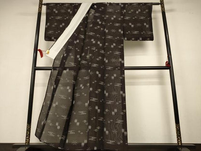 平和屋着物＊夏物　本場琉球絣　夏琉球　正絹　逸品　AABK6620jd