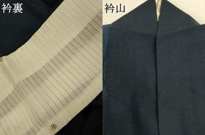 平和屋着物＊夏物　本場大島紬　夏大島　140亀甲　間道　正絹　逸品　AABK6677jd