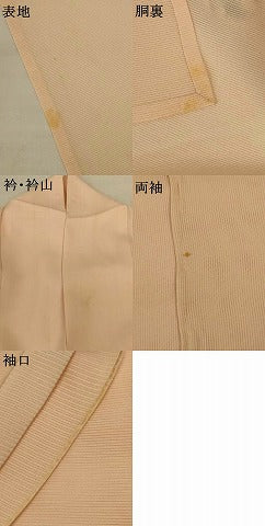 平和屋着物＊夏物　訪問着　絽　芝花文　金彩　正絹　逸品　AABK6680jd