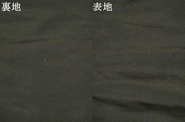 平和屋着物●アンティーク　大正ロマン　九寸名古屋帯　手描き　唐獅子　黒地　金銀彩　正絹　逸品　AABK6848pf