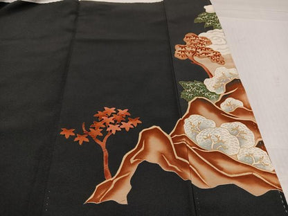 平和屋着物●豪華黒留袖　女人風景文　金彩　正絹　逸品　AABK7002ph