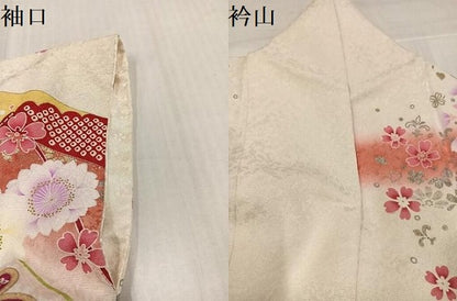 平和屋着物●豪華振袖　刺繍　花蝶文　暈し染め　金銀彩　銀通し地　正絹　逸品　AABK7052ph