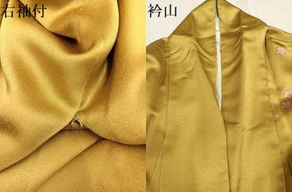平和屋着物●豪華振袖　草花文　暈し染め　金彩　金通し地　ロング丈　正絹　逸品　AABK7113ph