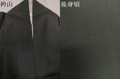 平和屋着物●訪問着　人物文　暈し染め　正絹　逸品　AABK7120ph