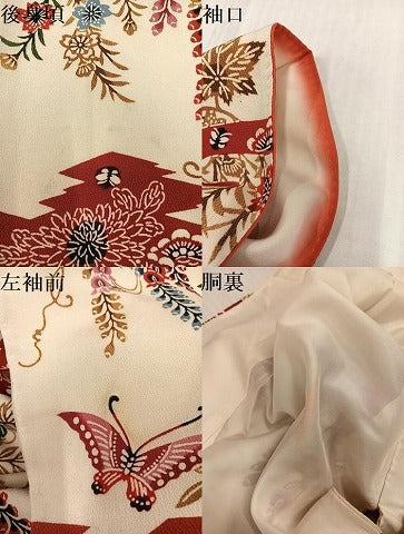 平和屋着物●訪問着　型染め　花鳥舞蝶文　鬼しぼ縮緬　正絹　逸品　AABK7152ph
