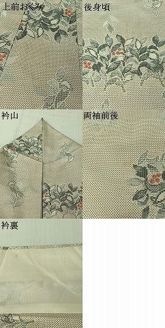 平和屋着物▽本場大島紬　白大島　単衣　9マルキ　草花文　正絹　逸品　AABK7164jh