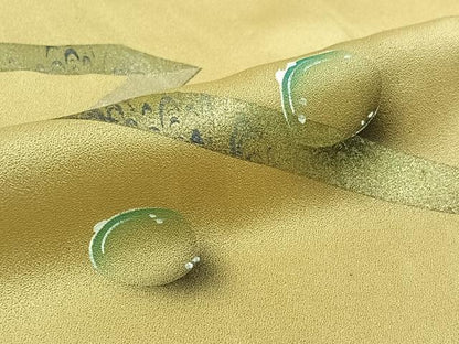 平和屋着物▽訪問着　単衣　水玉文　金彩　ロング丈　正絹　逸品　AABK7189jh