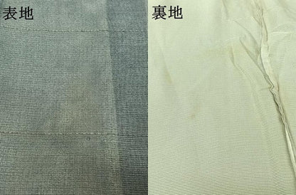 平和屋着物▽訪問着　無双　紗袷　紗×絽　手描き　櫛引織　草花文　金糸　正絹　逸品　AABK7294jh