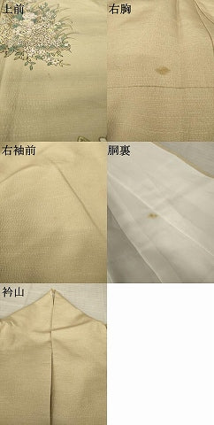 平和屋着物●訪問着　紬地　手描き　草花文　金彩　正絹　逸品　AABK7467ck