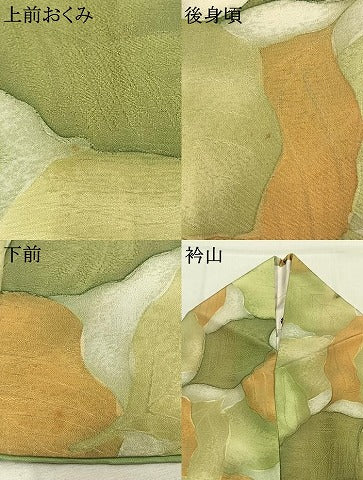 平和屋着物●上質な小紋　地紋起こし　葉尽くし　暈し染め　正絹　逸品　AABK7595fy