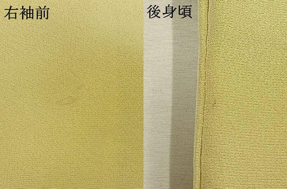 平和屋着物●訪問着　友禅　作家物　草花文　暈し染め　正絹　逸品　AABK7624fy