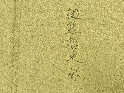 平和屋着物●樋熊哲也　訪問着　辻が花　絞り　手描き　樹林文　暈し染め　正絹　逸品　AABK7670fy