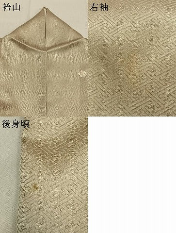 平和屋着物●訪問着　刺繍　梅　松葉　暈し染め　金糸　金彩　正絹　逸品　AABK7745fy