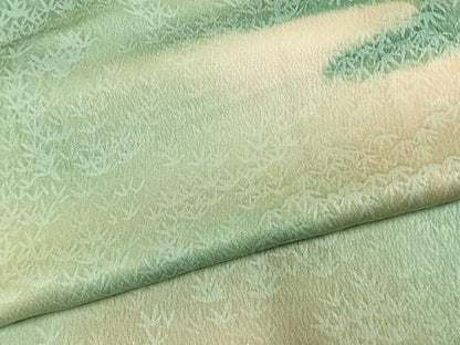 平和屋着物●上質な小紋　竹　暈し染め　正絹　逸品　AABK7783fy