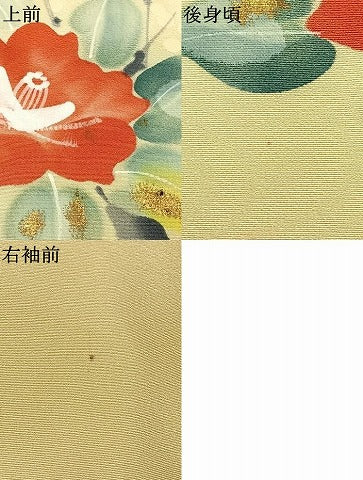 平和屋着物●訪問着　手描き　枝花文　金彩　正絹　逸品　AABK7800fy