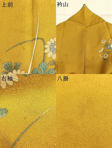 平和屋着物●訪問着　花鳥文　暈し染め　金彩　正絹　逸品　AABK7888fy