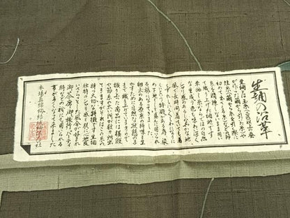 平和屋着物●上質な小紋　生紬　草花文　証紙付き　正絹　逸品　未使用　AABK7976fy
