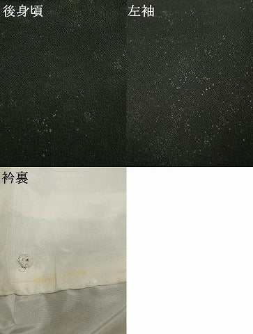 平和屋着物●訪問着　雪輪重ね花文　暈し染め　黒地　鬼しぼ縮緬　正絹　逸品　AABK8006fy