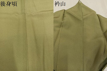 平和屋着物●伝統工芸師　服部光擴　江戸小紋　極小鮫小紋柄　草木染　正絹　逸品　AABK8244ph