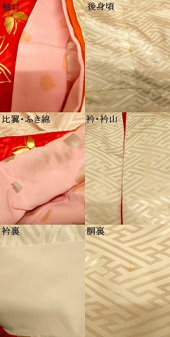 平和屋本店●お引きずり・お引き摺り　訪問着　和装　舞台　舞妓　芸妓　芸者　衣装　舞蝶文　暈し染め　金彩　AABK8311fw