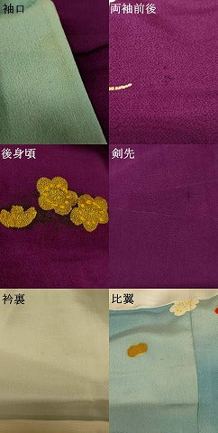 平和屋本店●お引きずり・お引き摺り　訪問着　和装　舞台　舞妓　芸妓　芸者　衣装　手描き　枝梅文　金彩　逸品　AABK8353fw