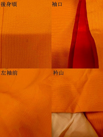 平和屋本店●お引きずり・お引き摺り・引き振袖　和装　結婚式　舞妓　芸妓　芸者　衣装　手描き　草花文　椿　金彩　逸品　AABK8449fw