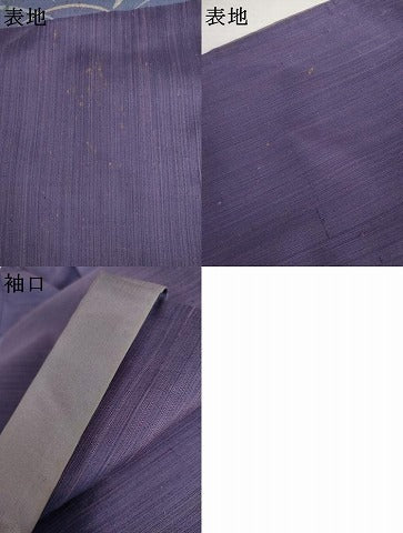 平和屋着物●五代目・諏訪好風　訪問着　紬地　芝に枝花　正絹　逸品　AABK8590cs