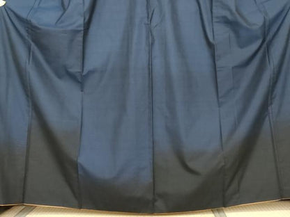 平和屋着物●本場大島紬　訪問着　霞文　正絹　逸品　AABK8701cs